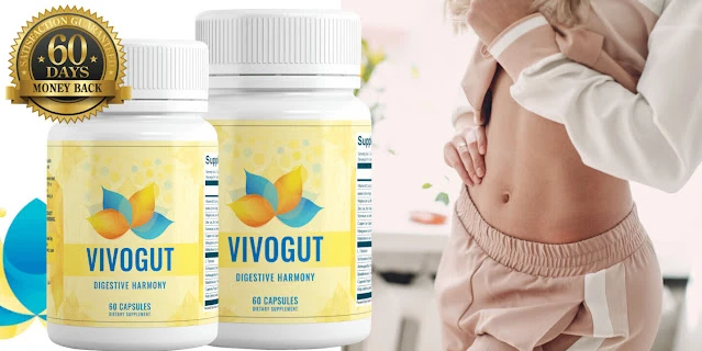 Comprehensive Gut Health Support System
